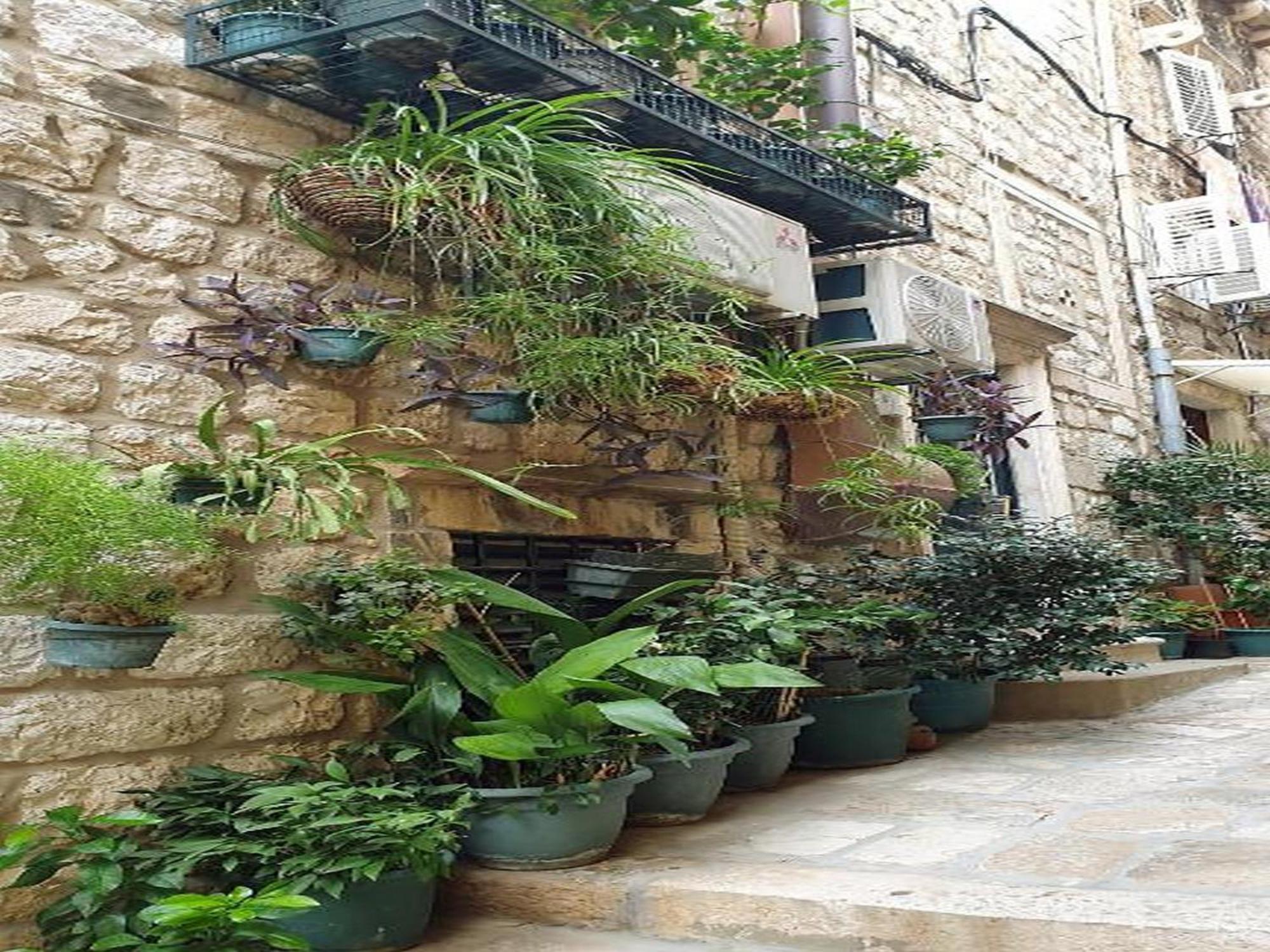 Apartma Pk - Dubrovnik